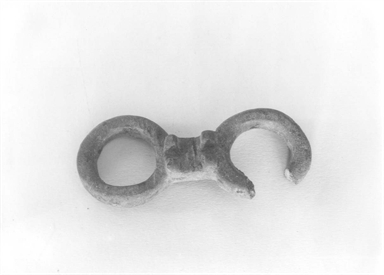 Anello gemino cuspidato